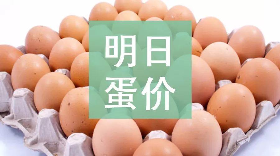 怎样知道鸡快要生蛋了截图3