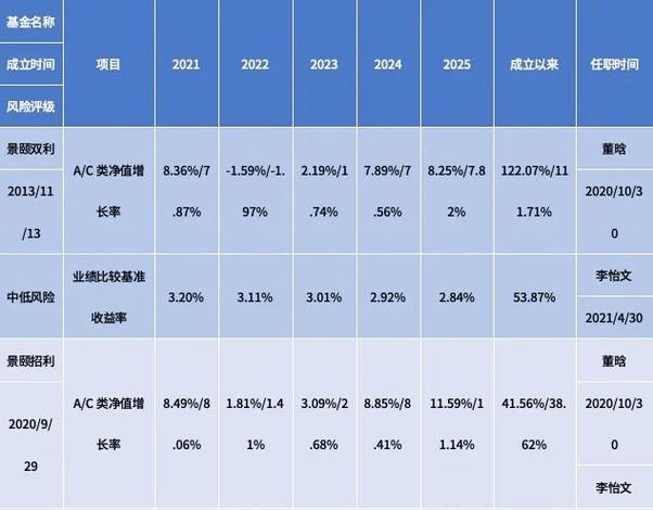 2025定期报告系统