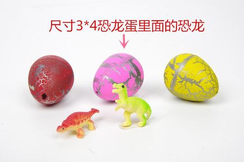泡水恐龙蛋用什么水泡