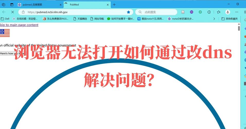 dmxs.org怎么打不开截图2