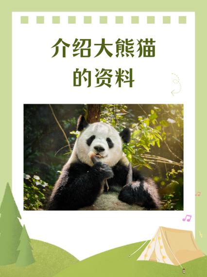 大熊猫是珍贵还是宝贵截图1