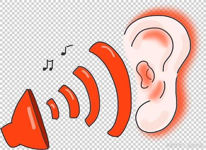 耳朵里有声音截图3