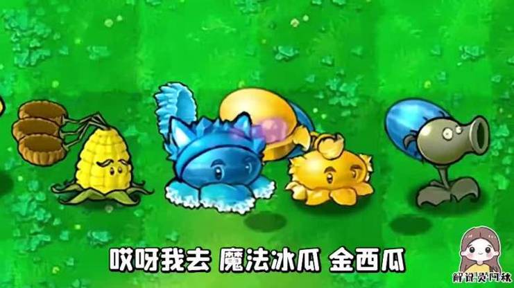 阿秋植物大战僵尸视频全集