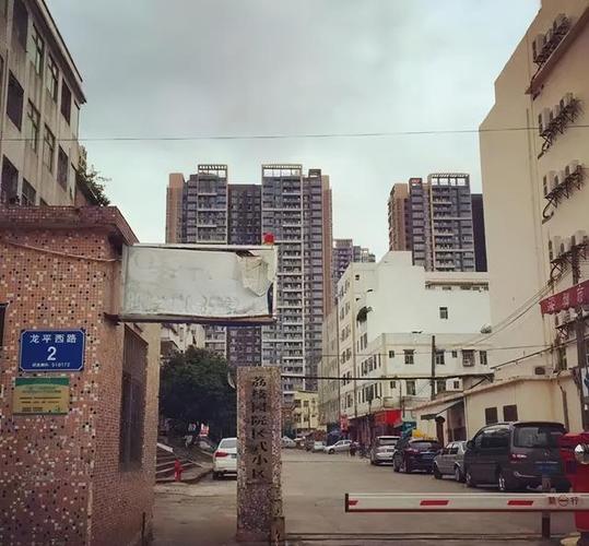 龙岗盛平社区属于哪个街道办截图3