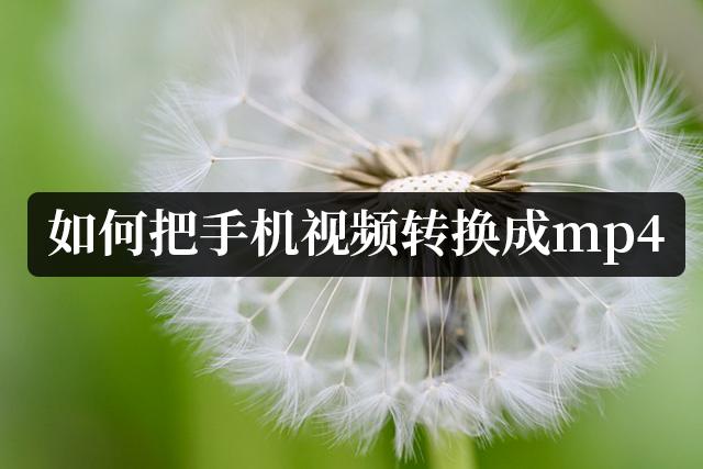 手机视频转化成mp4