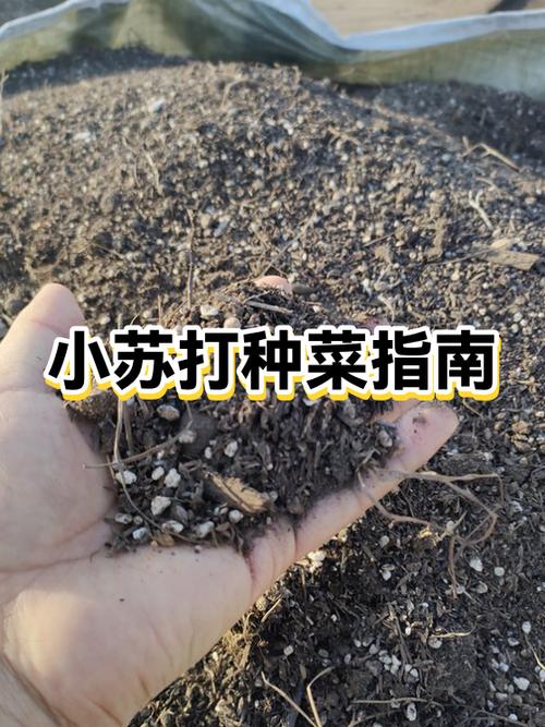 种菜的方法