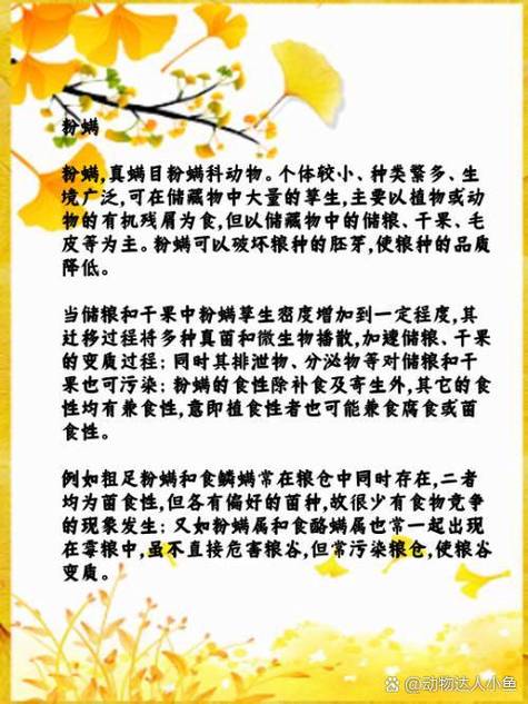 粉螨的最简单消除方法