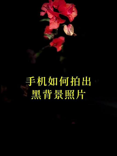 苹果手机拍照背景怎么调成黑色