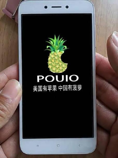 菠萝手机官网 价格