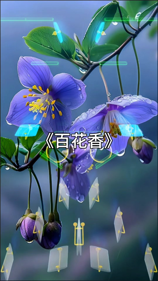百花香版本
