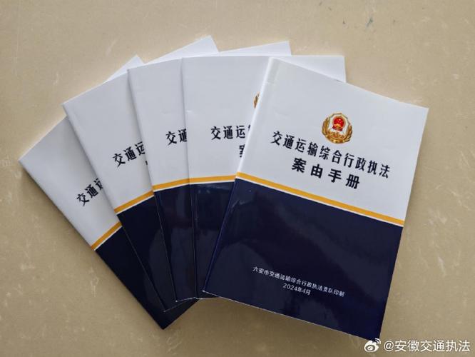 交通执法工作总结内容