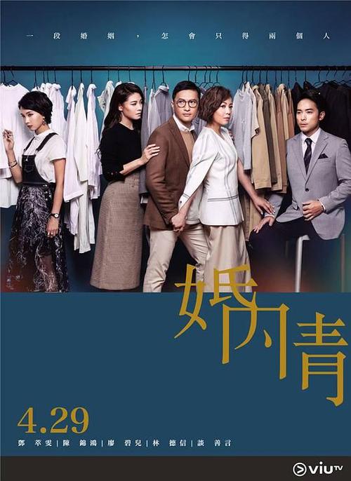 婚内情电视剧总共几集