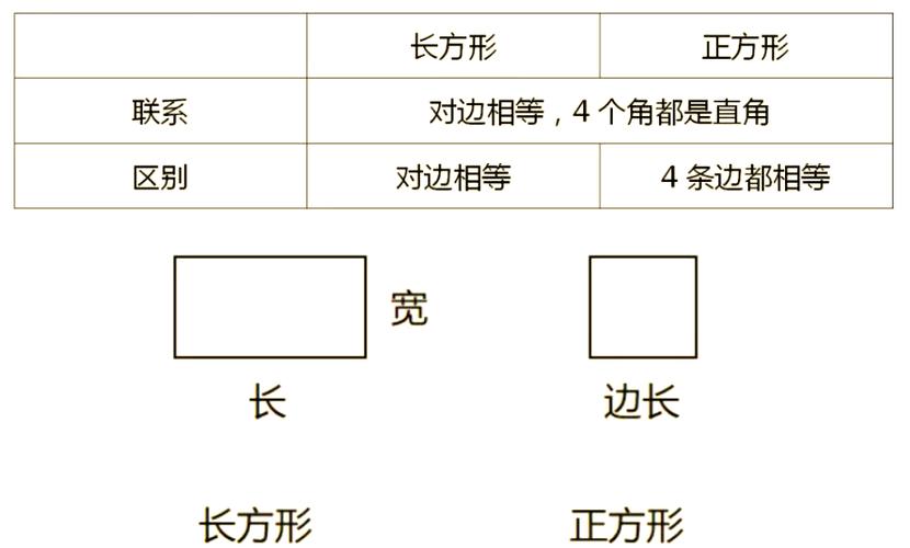 方形包括长方形和正方形吗截图3