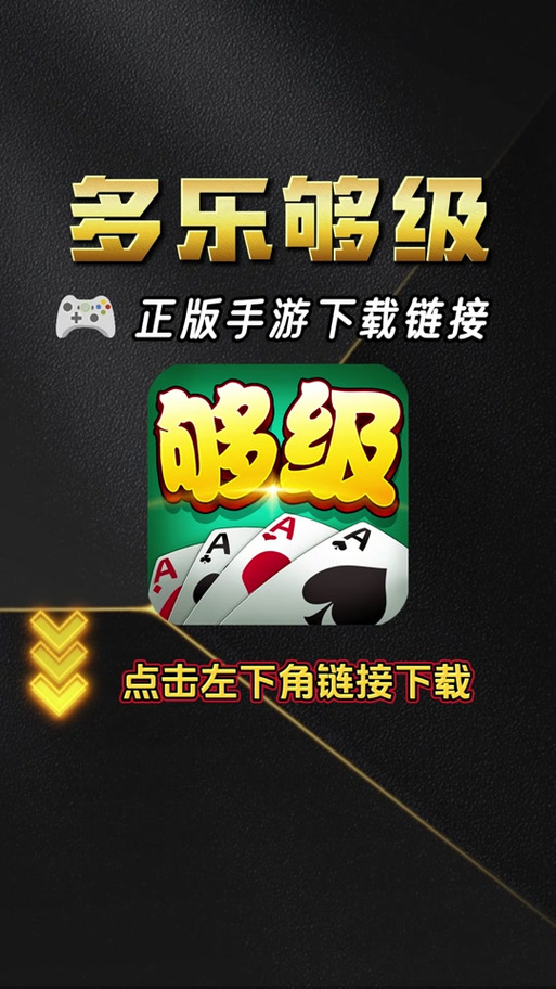 多乐够级记牌器怎么弄