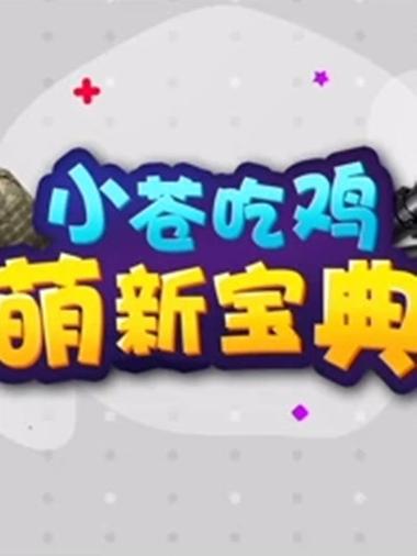 吃鸡有名的主播
