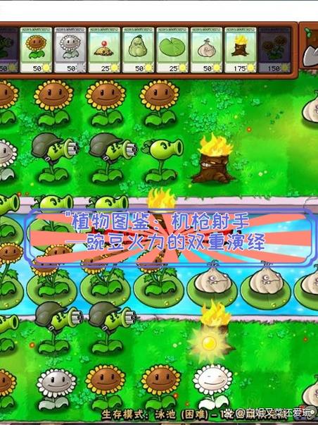 植物大战僵尸打不开了怎么办