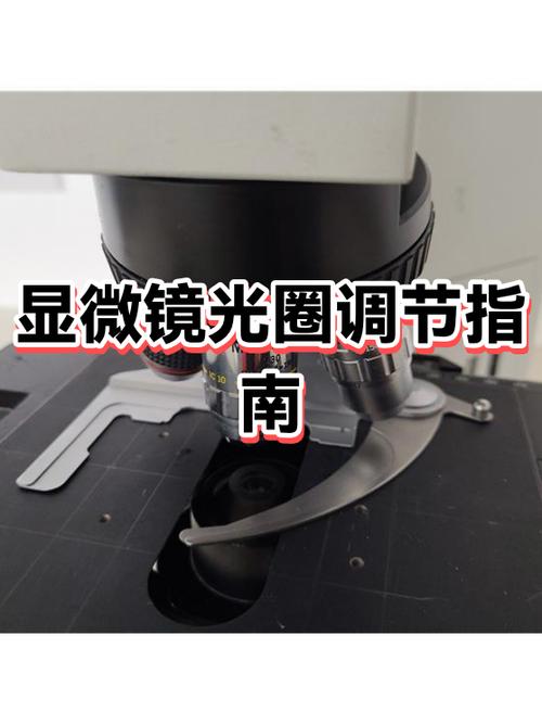 调节单反光圈的步骤
