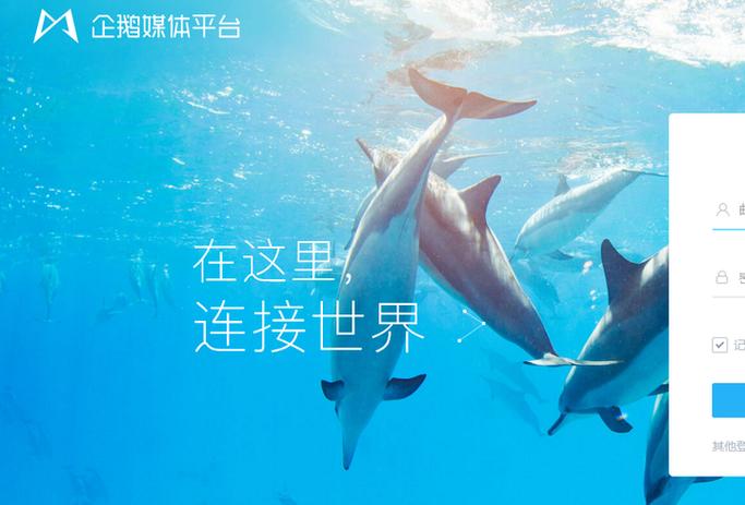 企鹅号转正多久有收益