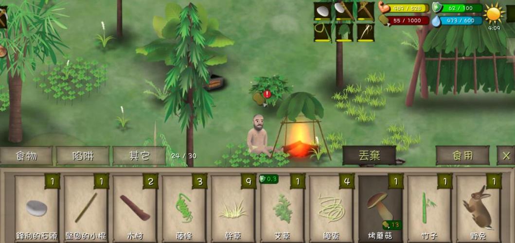 荒野的荒岛求生