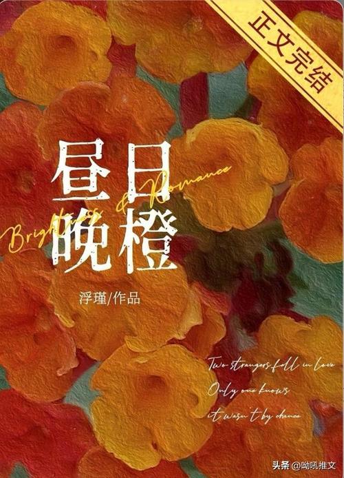 昼日晚橙小说TXT百度云