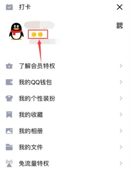 qq连续登录天数排行