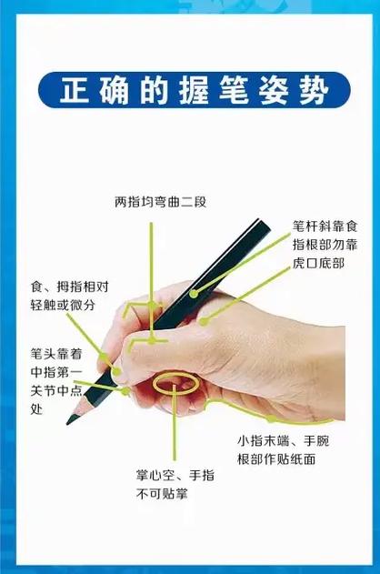 怎么握笔手不抖截图3