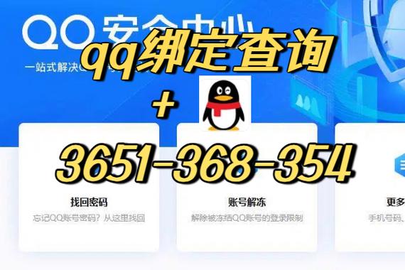 q绑查询软件破解版截图2
