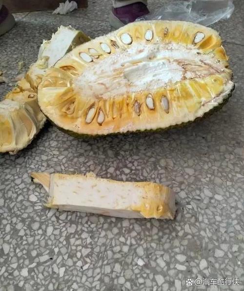 菠萝蜜为啥闻着臭截图2