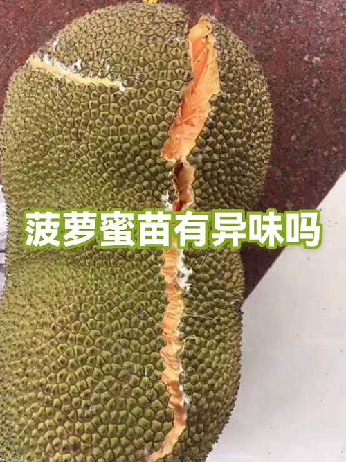 菠萝蜜为啥闻着臭截图3