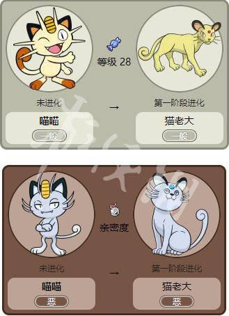 喵喵进化顺序图 喵喵进化顺序图