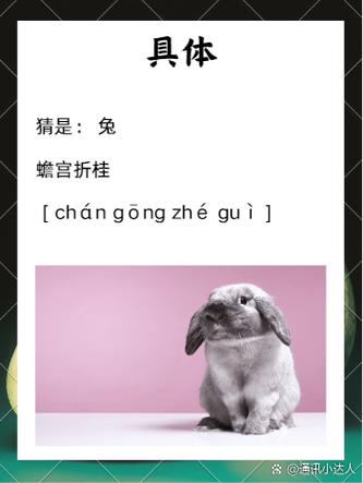 桂花代表什么生肖正确答案截图1