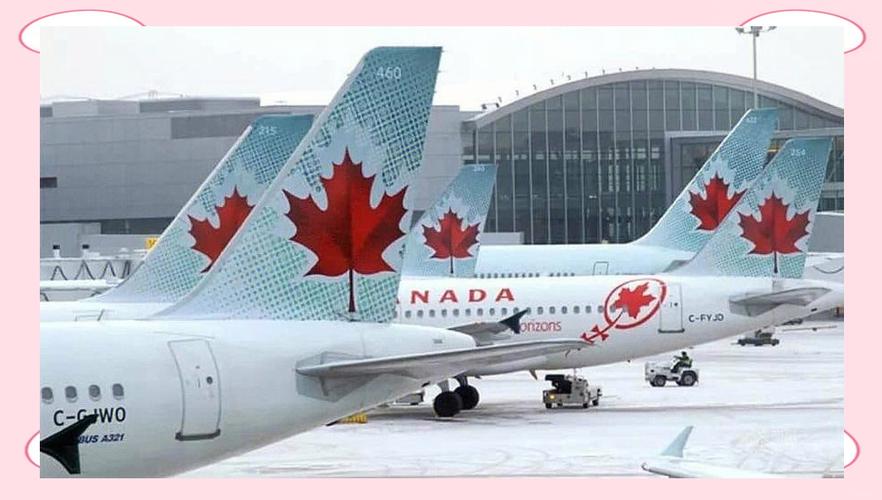 加拿大航空是哪个联盟截图1