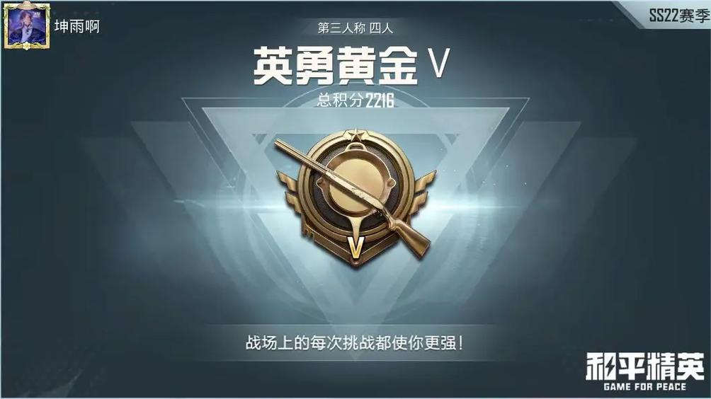 和平精英黄金段位截图2
