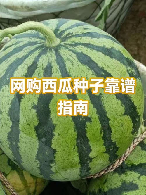 网购哪个平台靠谱