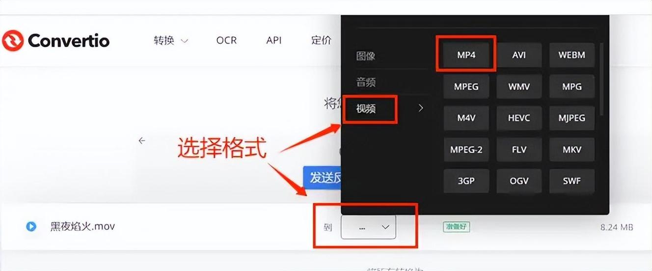 bin视频转换成mp4截图3