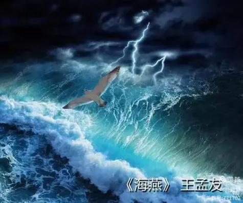 沐阳之光截图3