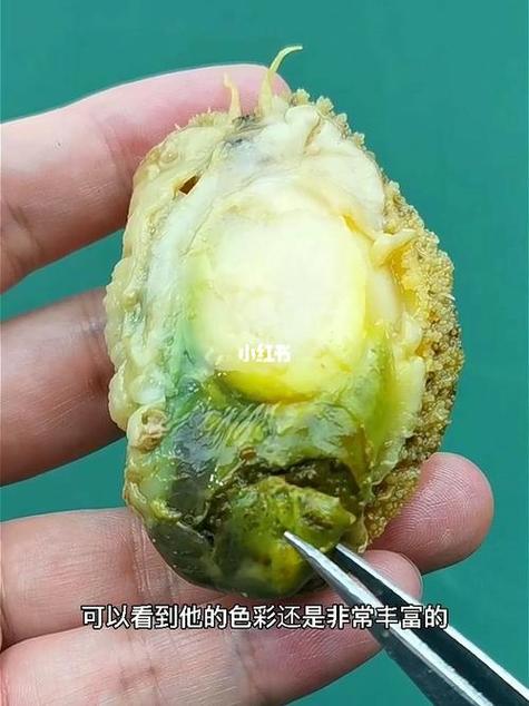鲍鱼有绿色能吃吗
