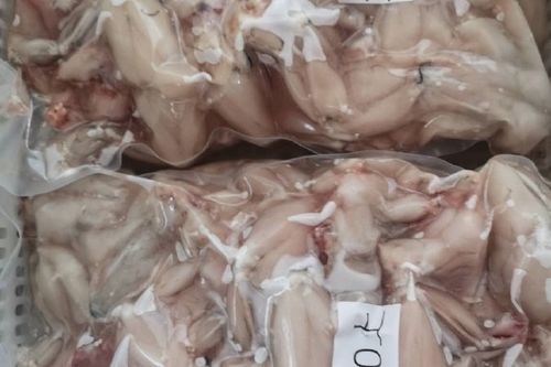 牛蛙肉多少钱一斤截图2