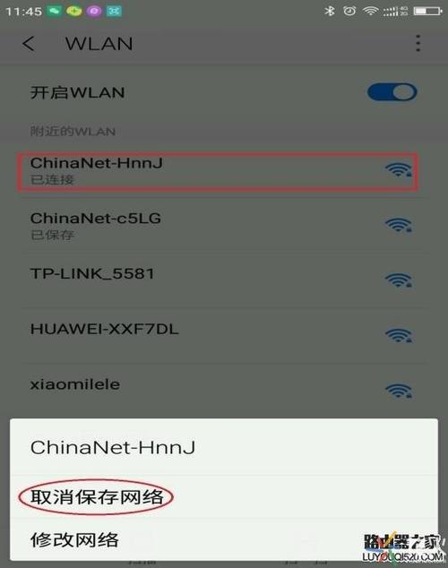 华为手机WLAN不可上网截图1