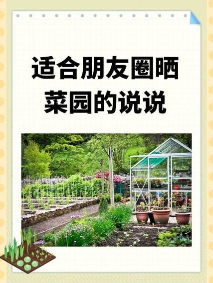 赞美自家小菜园的句子截图2