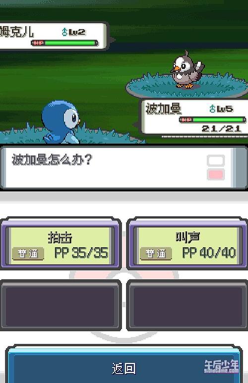 口袋妖怪nds802改版