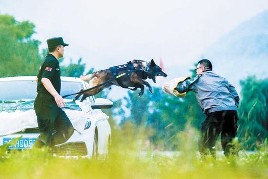 捉捕截图1