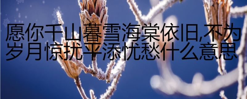 海棠依旧 百度网盘 海棠依旧 百度网盘