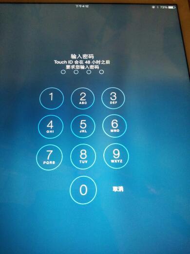 ipad密码栏输入验证码