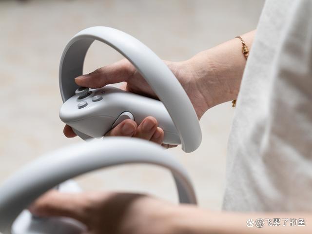游戏手柄正确拿法截图2
