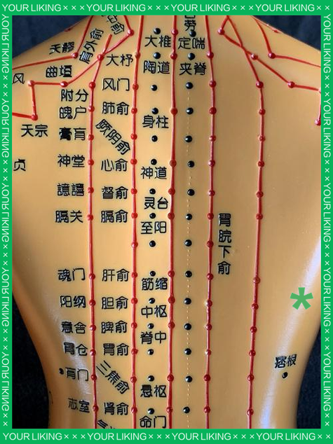 十二经脉循行3d图动画全身截图1