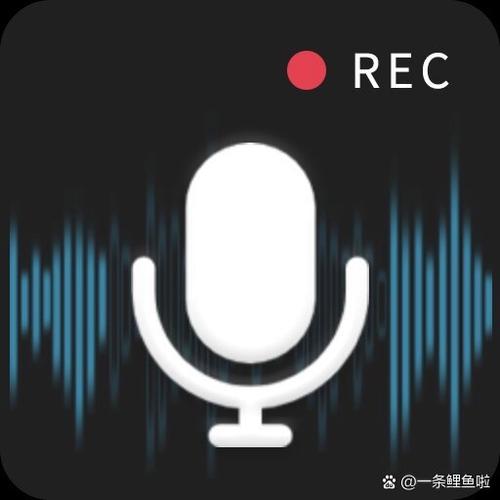 au录音软件哪个版本好用 au录音软件哪个版本好用