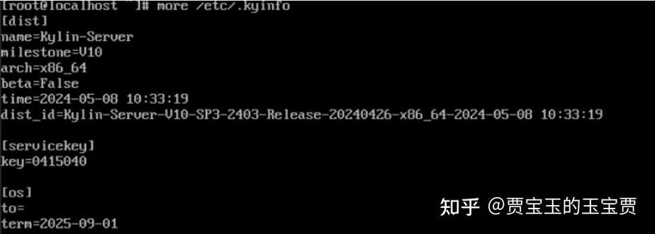 麒麟v10是x86还是arm