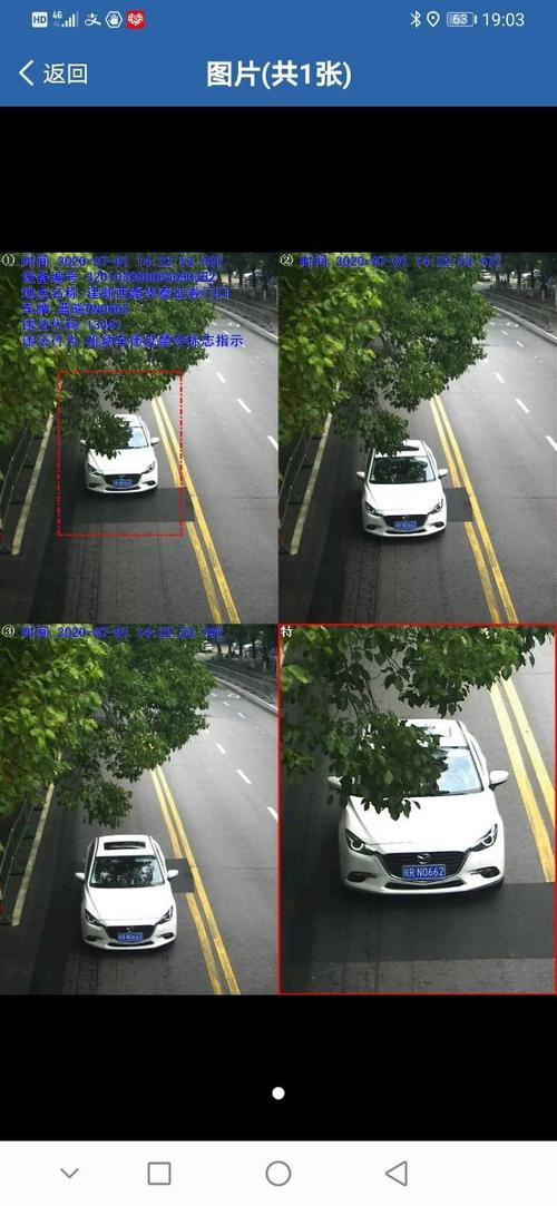 违章随手拍app下载官网