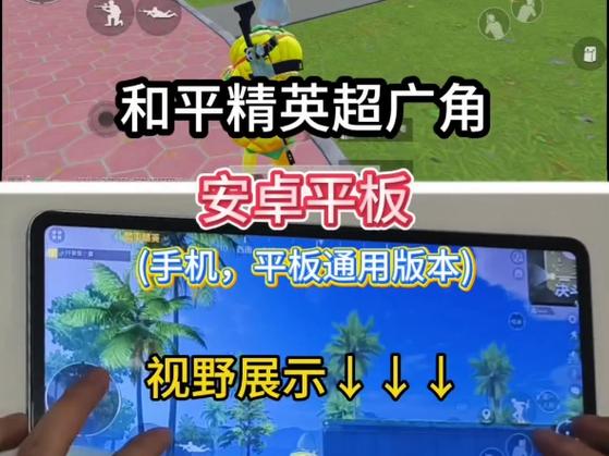 和平精英超广角助手免费